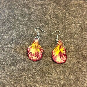 Beautiful Natural Dry and Resin Royal Poinciana Flower (Acacia )From Florida